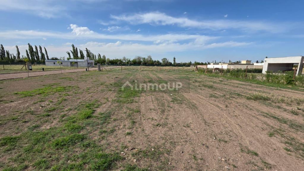 Terreno en Venta en San Rafael, Mendoza