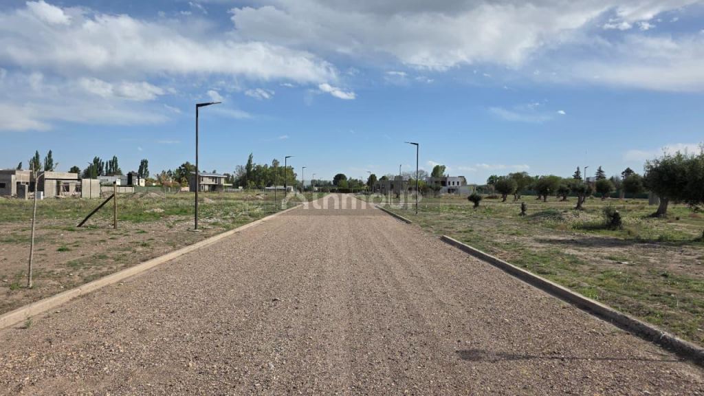 Terreno en Venta en San Rafael, Mendoza