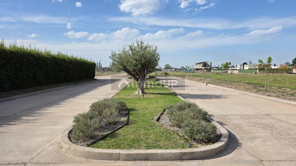 Terreno en Venta en San Rafael, Mendoza