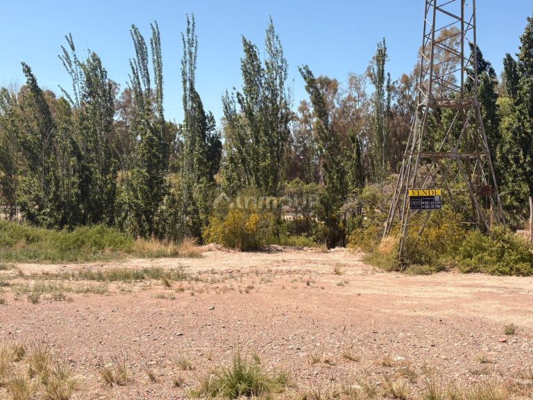 Terreno en Venta en Lujan de Cuyo, Mendoza