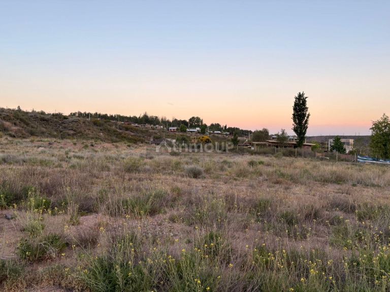 Lote en Venta en Lujan de Cuyo, Mendoza