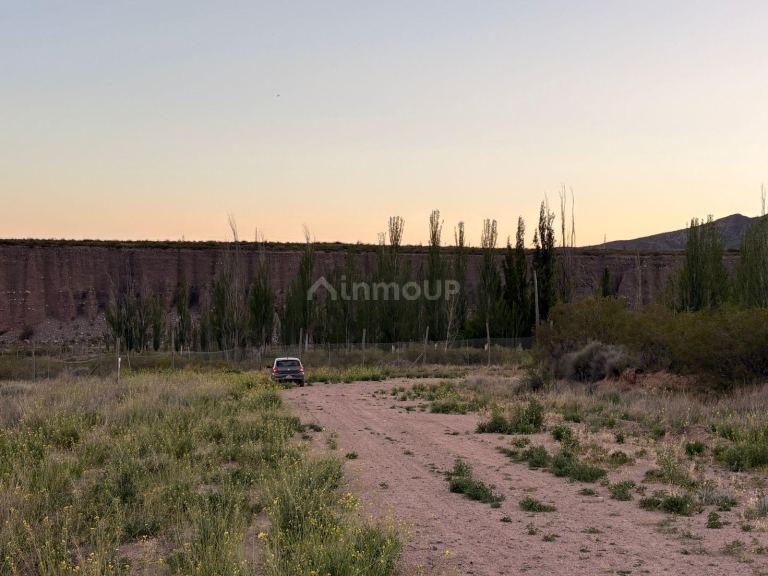 Lote en Venta en Lujan de Cuyo, Mendoza