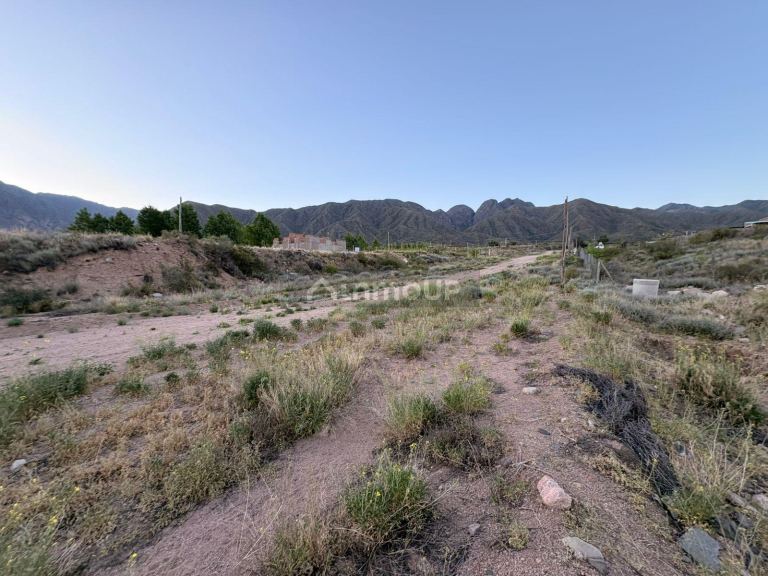 Lote en Venta en Lujan de Cuyo, Mendoza