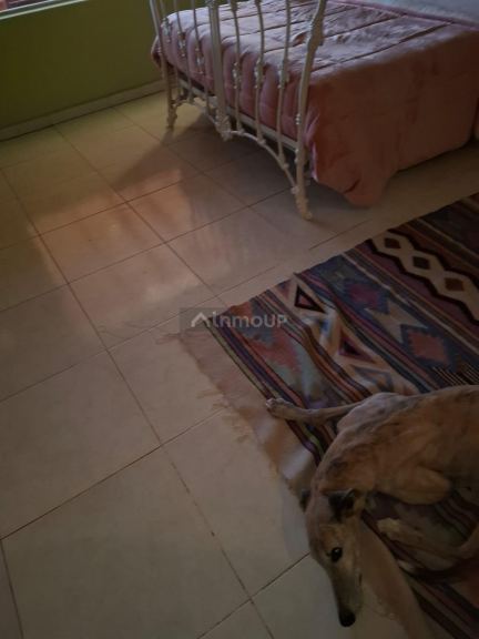 Cabaña en Venta en San Rafael, Mendoza