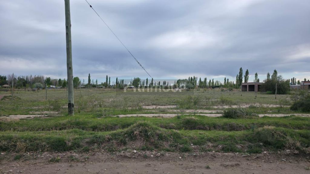 Lote en Venta en San Rafael, Mendoza
