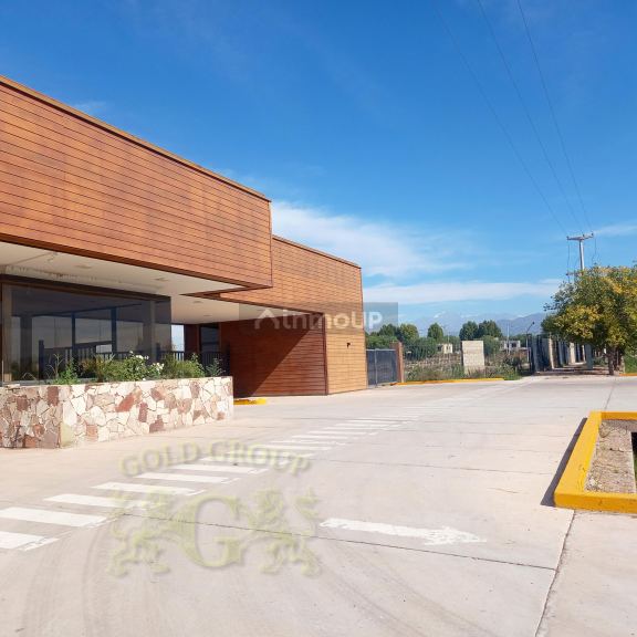 Terreno en Venta en Lujan de Cuyo, Mendoza