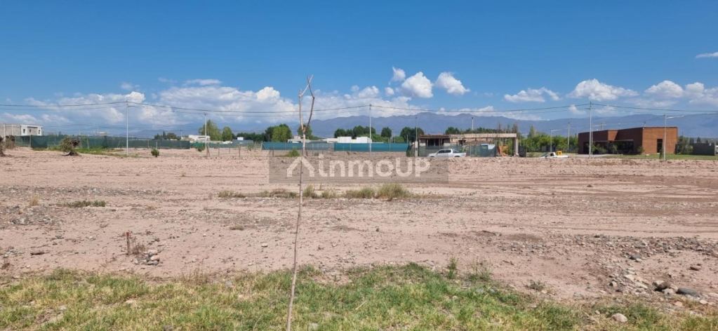 Terreno en Venta en Lujan de Cuyo, Mendoza