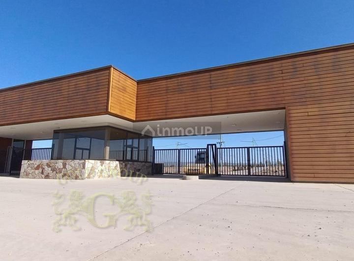 Terreno en Venta en Lujan de Cuyo, Mendoza