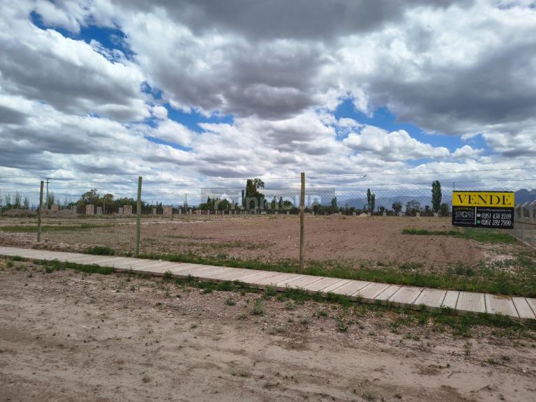 Lote en Venta en Lujan de Cuyo, Mendoza