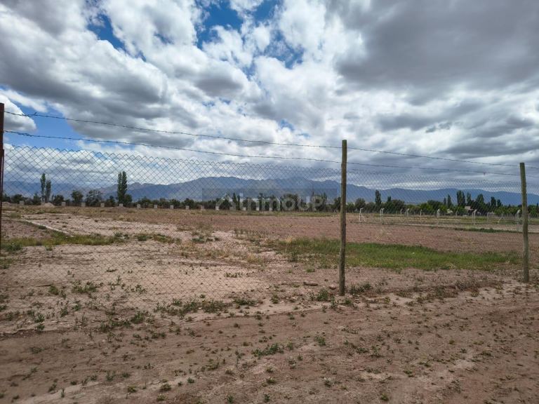 Lote en Venta en Lujan de Cuyo, Mendoza
