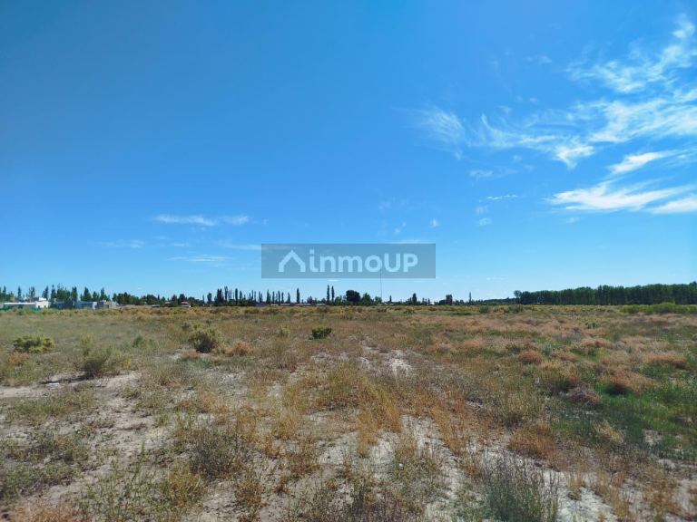 Terreno en Venta en San Rafael, Mendoza