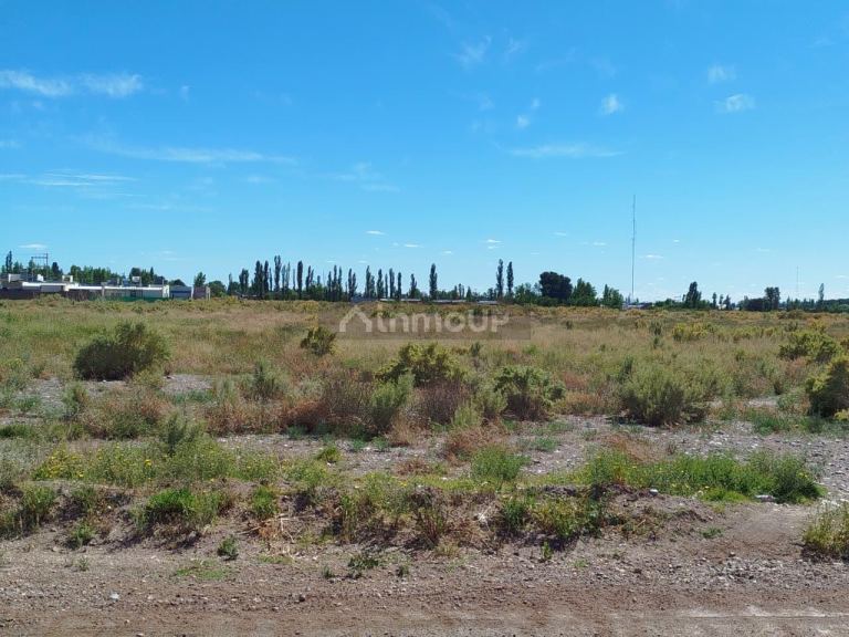 Terreno en Venta en San Rafael, Mendoza