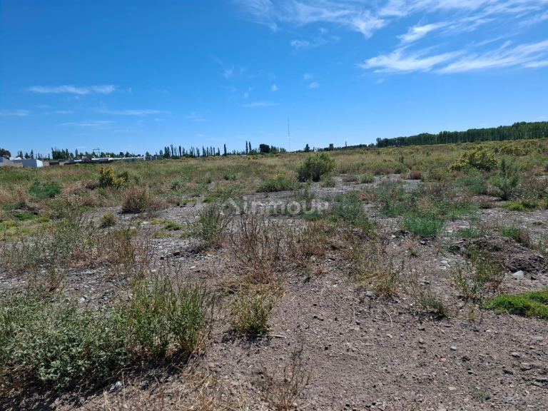 Terreno en Venta en San Rafael, Mendoza