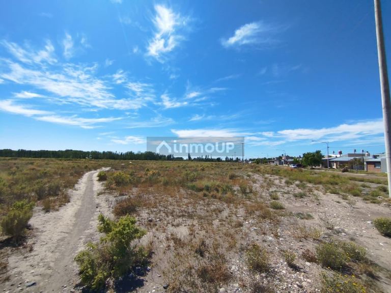Terreno en Venta en San Rafael, Mendoza