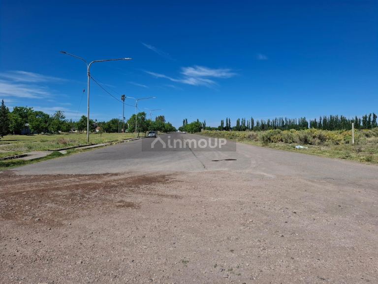 Campo en Venta en San Rafael, Mendoza