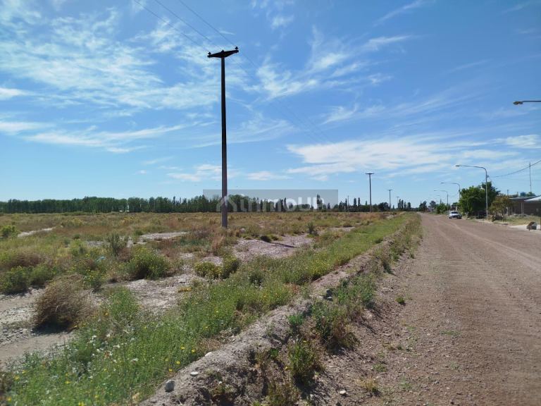 Campo en Venta en San Rafael, Mendoza