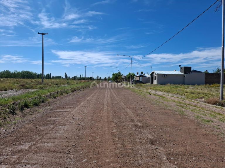 Campo en Venta en San Rafael, Mendoza