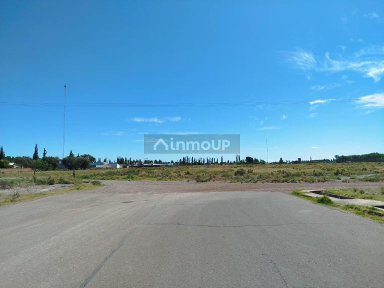 Campo en Venta en San Rafael, Mendoza