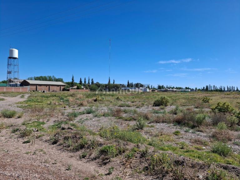 Campo en Venta en San Rafael, Mendoza