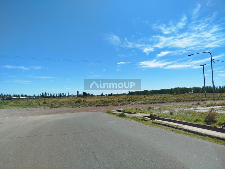 Campo en Venta en San Rafael, Mendoza