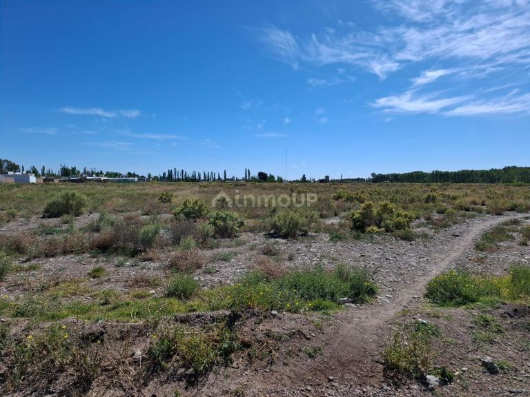 Campo en Venta en San Rafael, Mendoza