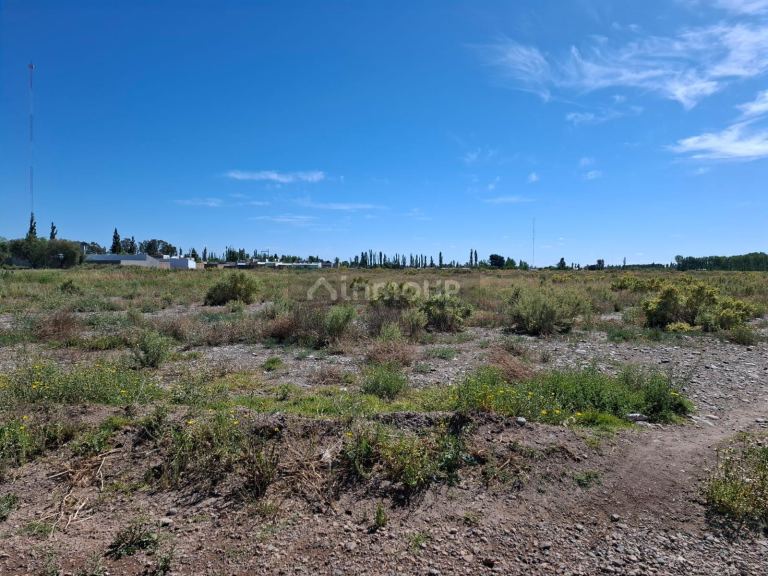 Campo en Venta en San Rafael, Mendoza