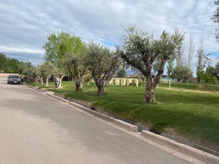 Lote en Venta en Maipu, Mendoza