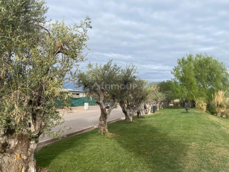 Lote en Venta en Maipu, Mendoza