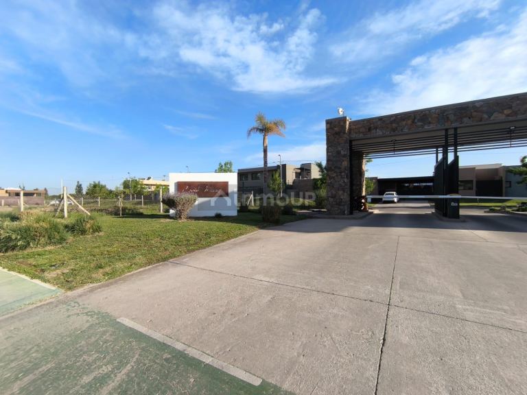 Terreno en Venta en Lujan de Cuyo, Mendoza