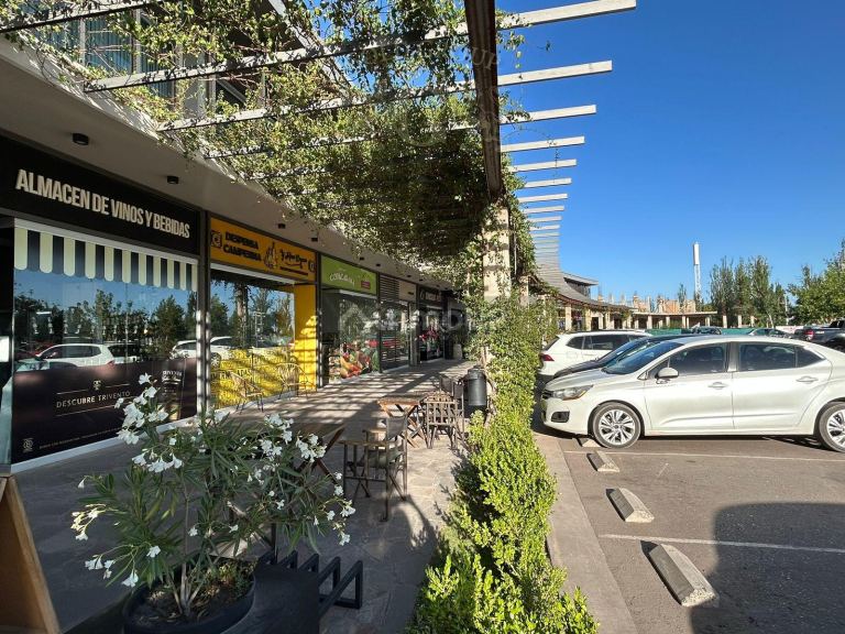 Terreno en Venta en Lujan de Cuyo, Mendoza