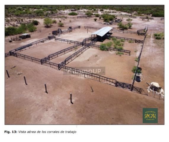 Terreno en Venta en Lavalle, Mendoza