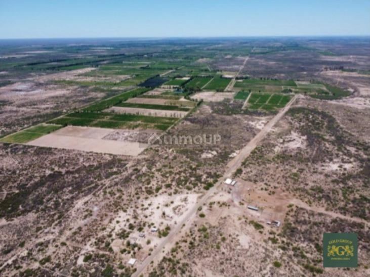 Terreno en Venta en Lavalle, Mendoza
