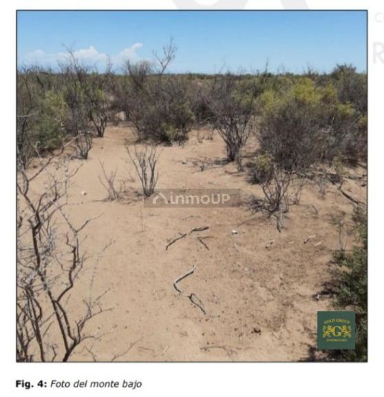 Terreno en Venta en Lavalle, Mendoza