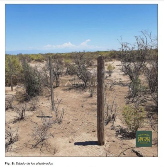 Terreno en Venta en Lavalle, Mendoza