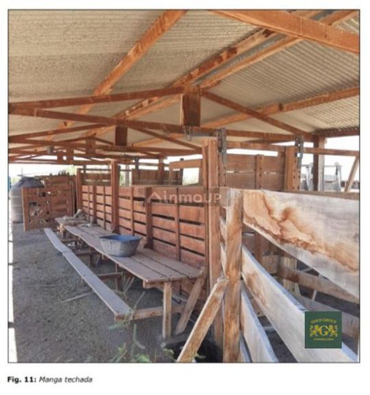 Terreno en Venta en Lavalle, Mendoza