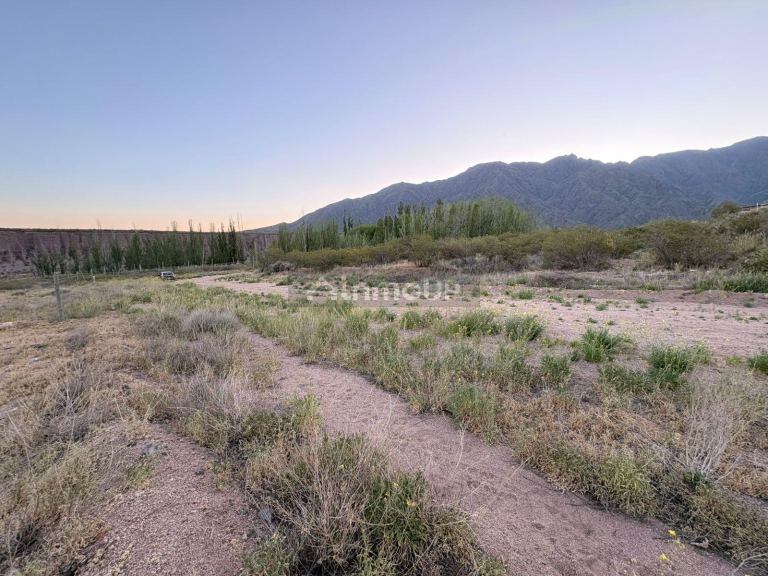 Terreno en Venta en Lujan de Cuyo, Mendoza