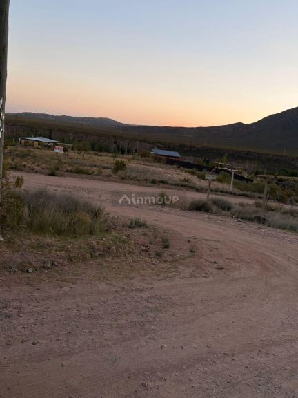 Terreno en Venta en Lujan de Cuyo, Mendoza