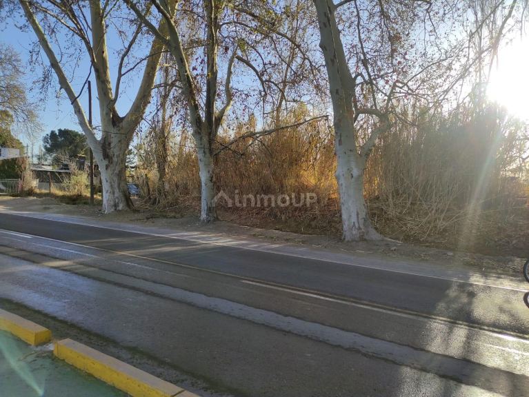 Loteo en Venta en Lujan de Cuyo, Mendoza