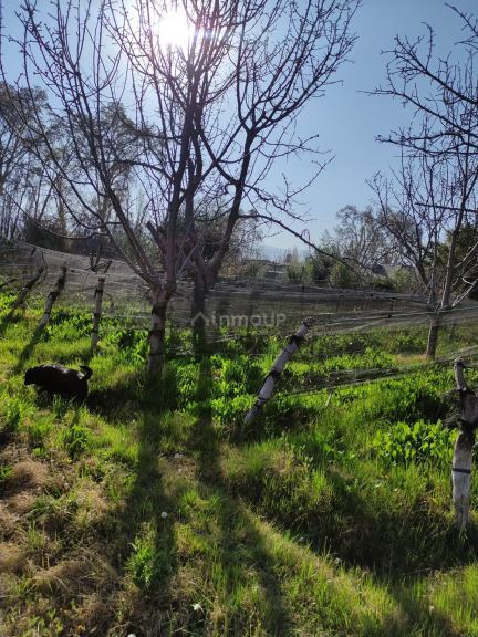 Loteo en Venta en Lujan de Cuyo, Mendoza