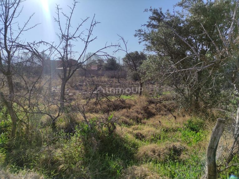Loteo en Venta en Lujan de Cuyo, Mendoza