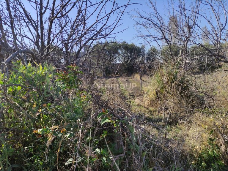 Loteo en Venta en Lujan de Cuyo, Mendoza