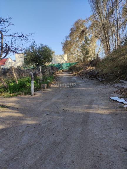 Loteo en Venta en Lujan de Cuyo, Mendoza
