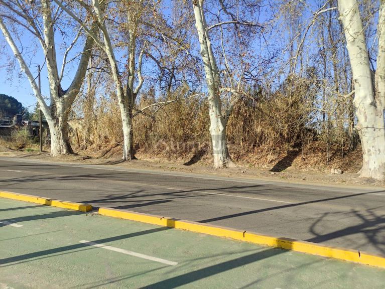 Loteo en Venta en Lujan de Cuyo, Mendoza