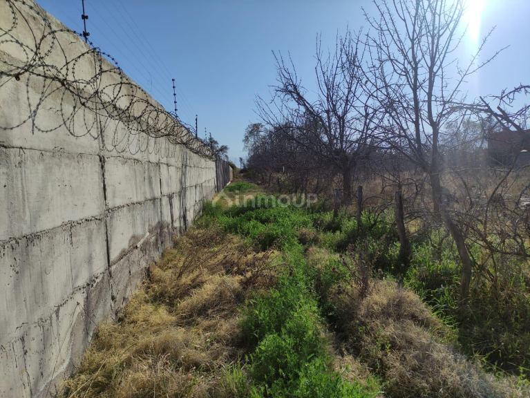 Loteo en Venta en Lujan de Cuyo, Mendoza