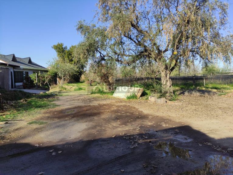 Loteo en Venta en Lujan de Cuyo, Mendoza