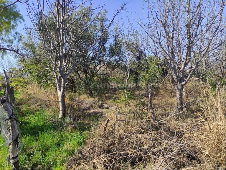 Loteo en Venta en Lujan de Cuyo, Mendoza