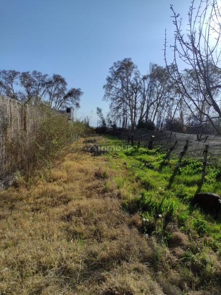 Loteo en Venta en Lujan de Cuyo, Mendoza
