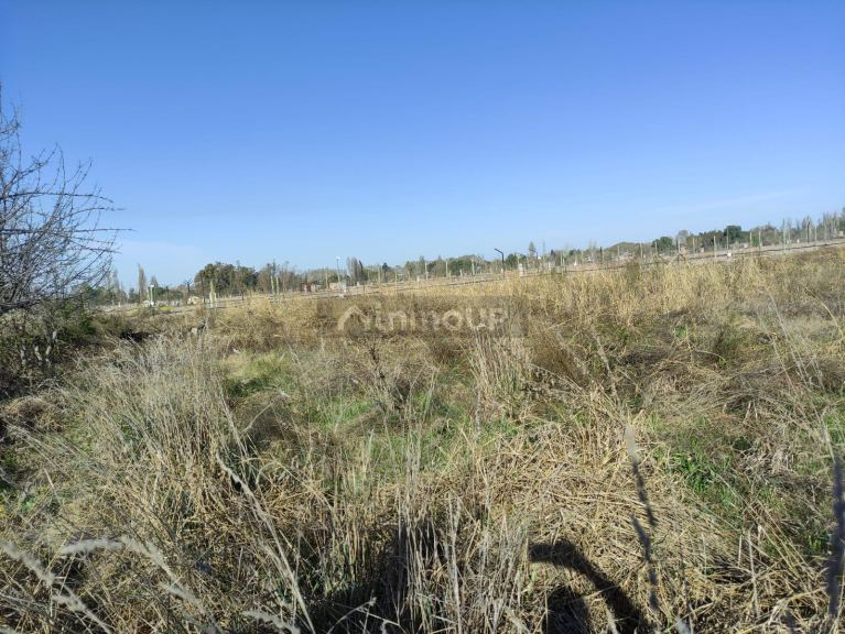 Loteo en Venta en Lujan de Cuyo, Mendoza