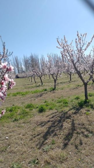 Loft en Venta en Tunuyan, Mendoza