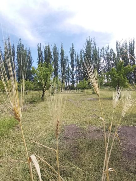 Loft en Venta en Tunuyan, Mendoza